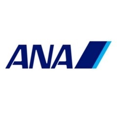 【ネット決済・配送可】ANA航空券