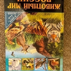 【ネット決済・配送可】動物の世界　ロシア語絵本