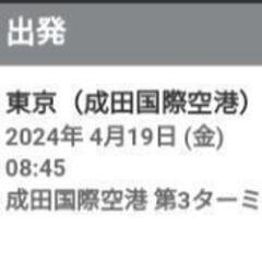 【ネット決済・配送可】ジェットスター往復航空券飛行機チケット九州旅行