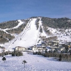 志賀高原スキー場に滑りに行きませんか？