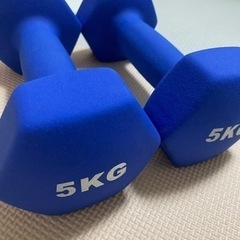 ダンベル5kg×2個