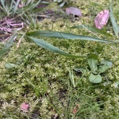 お互いにメンタルケアが出来るような人