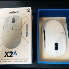 pulsar x2a size2