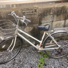 自転車 