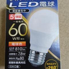 新品　LED電球　蛍光灯