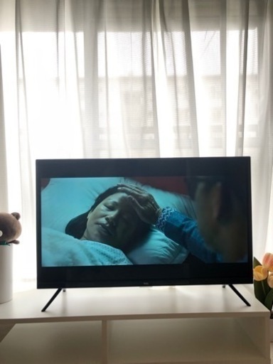 家電 テレビ 液晶テレビ