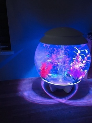 水槽biorb HALO(バイオーブ ハロ)15L