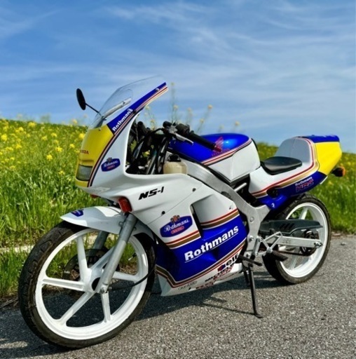 NS1 前期 中華ロスマンズ フル カウル NS1 前期 中華ロスマンズ フル カウル