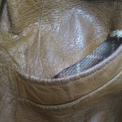 裁縫/修繕:レザージャケットの肩パッドを外してポケット付けれる方探しています。 - 手伝って/助けて