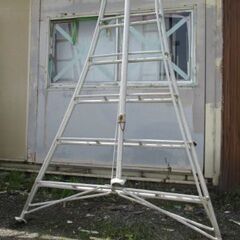 【引き取り限定 】植木　造園　12段　三脚　脚立　アルミ