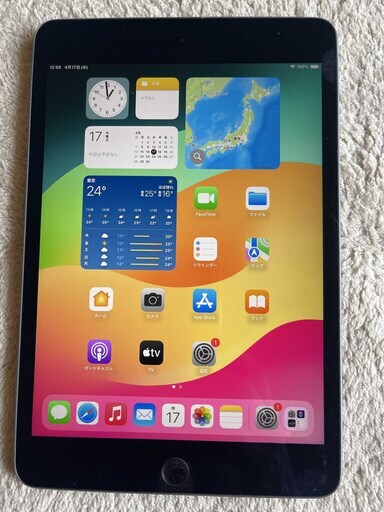 ipad mini５ A2124 silver wi-fi-cell ６４GBバッテリー８８%