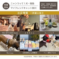 【4月】保護犬・保護猫譲渡会inアスモガーデン - 菊川市