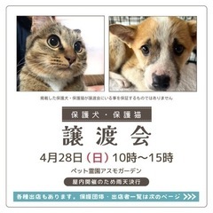 【4月】保護犬・保護猫譲渡会inアスモガーデン