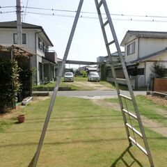 10尺　３ｍの脚立です。