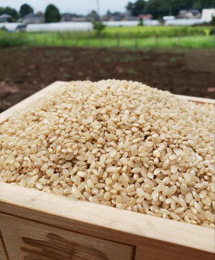 受け渡し決まりました。令和５年産　玄米コシヒカリ30kg　茨城県産