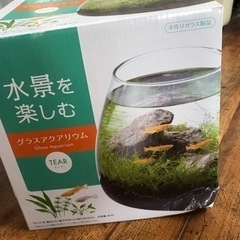 水槽　　未使用に近い