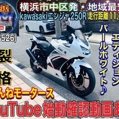 【ネット決済】kawasakiニンジャ250Rスペシャルエディシ...