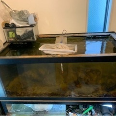 【予定者様決まりました】オーバーフロー水槽　海水魚用