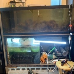 【予定者様決まりました】オーバーフロー水槽　海水魚用