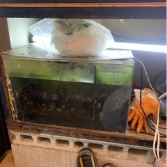 【予定者様決まりました】オーバーフロー水槽　海水魚用