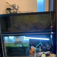 【予定者様決まりました】オーバーフロー水槽　海水魚用