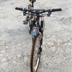 Hanshin tigers マウンテンバイク24（変速）