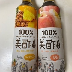 美酢　ミチョ　食品