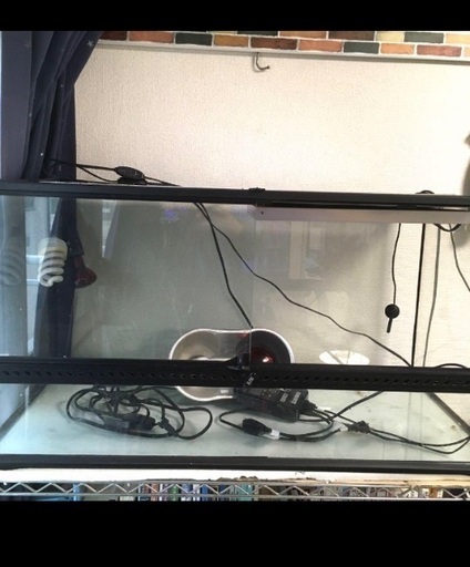 爬虫類　水槽　90㎝