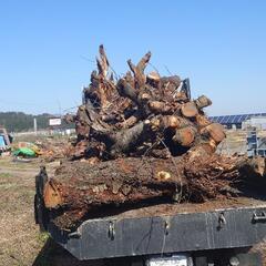 根っこ掘り　抜根　伐採　