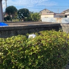 雑草　草むしり − 福岡県