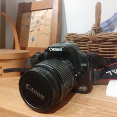 カメラ Canon EOS 450D