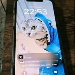 iPhone 12 Pro Max本体