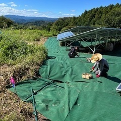 皆様ご協力ありがとうございました‼️定員に達しました‼️太陽光発電所メンテナンス　２０日から3名募集　継続的参加できる方優先‼️ − 茨城県