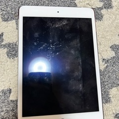 iPad mini 4 