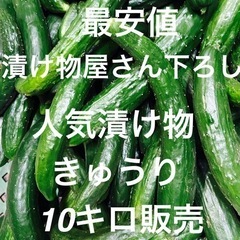 16朝収穫きゅうり漬け物用きゅうりです！値段1500円です10キ...