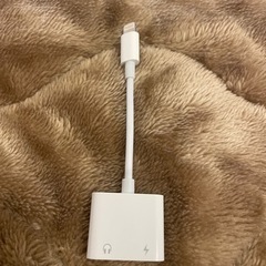 iPhone 充電イヤホン　二股接続ケーブル