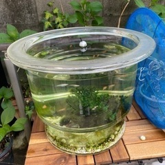 6/23値下げしました！🥤右開き🥤 🪽Red B ull🪽 レッドブル 冷蔵  