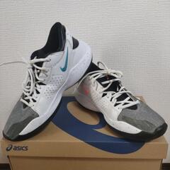 NIKE Zoom Freak 2　27.5cm