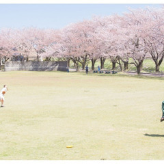 🏞️公園散歩の画像