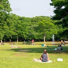 🌞🔆🌿🌳🇺🇸新緑の国際交流ピクニック【本日開催】☀️🍀🔆  − 東京都