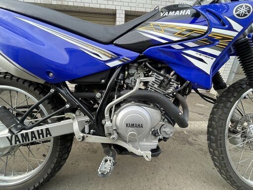 札幌★実動★セロー125とも言われる＜ヤマハ　XTZ125 　令和元年２オーナー＞原付フルサイズオフロード車 札幌☆実動☆セロー125とも言われる＜ヤマハ XTZ125 令和元年