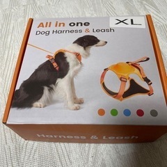 新品未使用 大型犬向け ハーネス&リードセット オレンジ XL