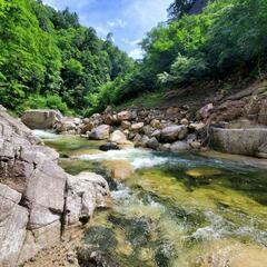 【教えてください！】渓流釣り