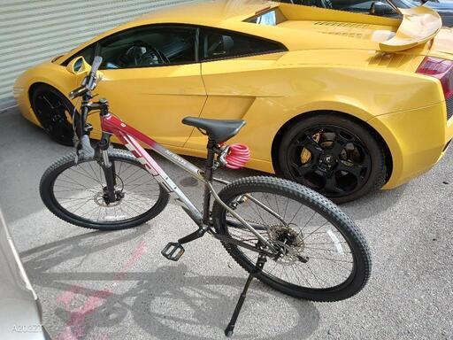 TREK Marlin 6 2022年　本日引き渡し限定