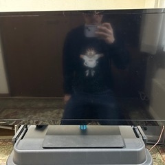 家電 テレビ 液晶テレビ