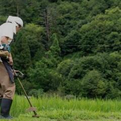 広島県北、島根県東部で山や庭の手入れ致します。