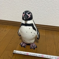 ペンギン