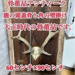 大正時代　骨董品　鹿の角　鹿の頭蓋骨　