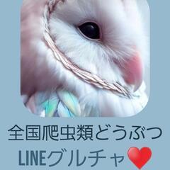 全国爬虫類どうぶつ雑談LINEグル♥メンバーさま★