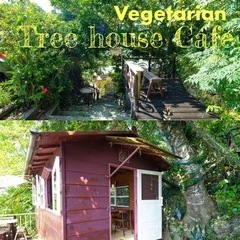 【沖縄🌺 ベジタリアン食堂 福豆】 Tree house Caf...